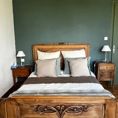 Nid D'oiseaux Lustar