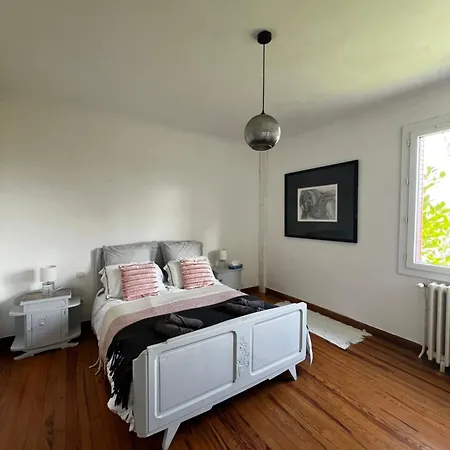 Nid D'oiseaux * Lustar