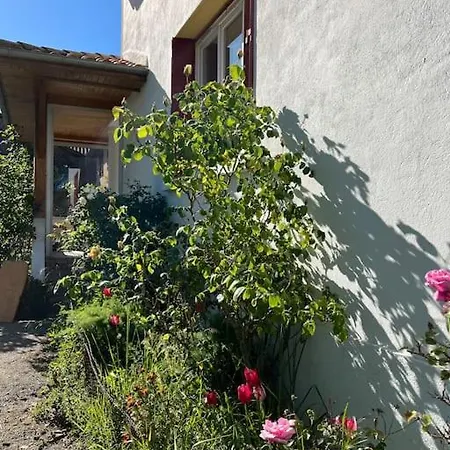 Nid D'oiseaux Villa Lustar