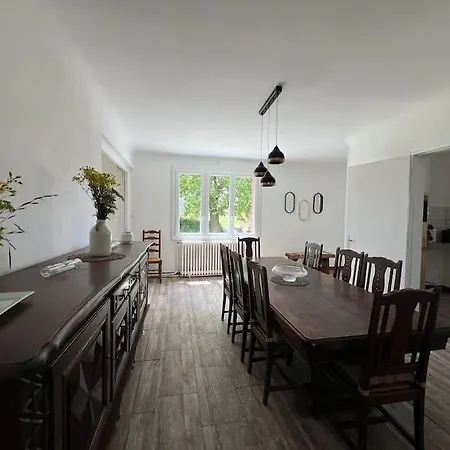 Nid D'oiseaux * Lustar