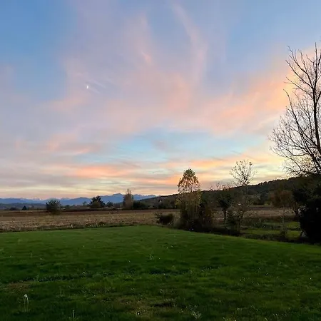 Nid D'oiseaux Lustar