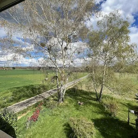 Nid D'oiseaux * Lustar