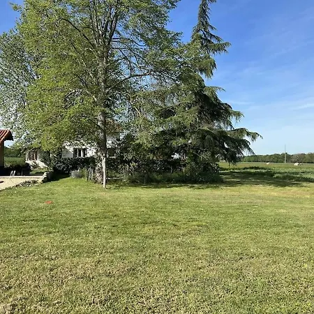 Nid D'oiseaux Lustar