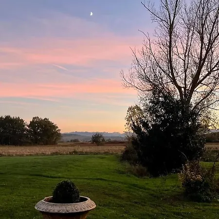 Nid D'oiseaux * Lustar