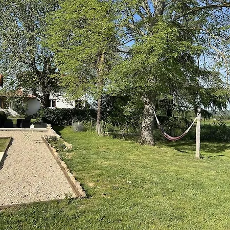 Nid D'oiseaux * Lustar