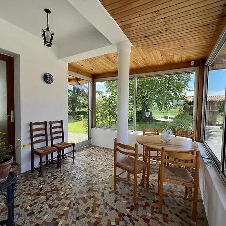 Nid D'oiseaux Lustar