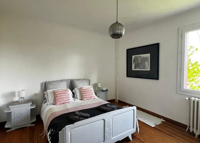 Nid D'oiseaux * Lustar