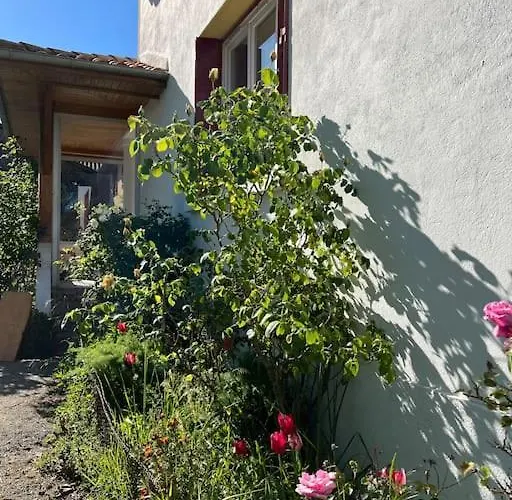 Nid D'oiseaux Вилла Lustar