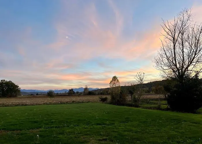 Nid D'oiseaux Lustar