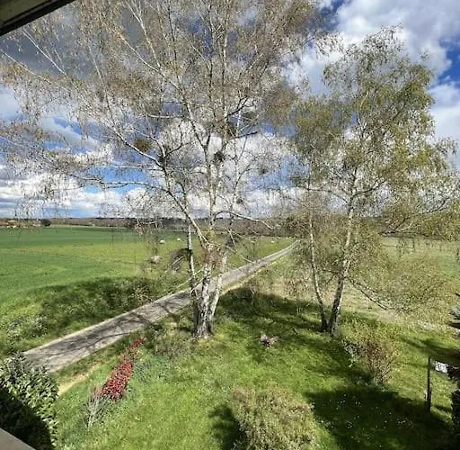 Nid D'oiseaux * Lustar