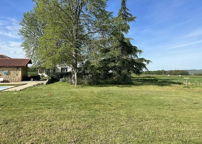 Nid D'oiseaux Lustar