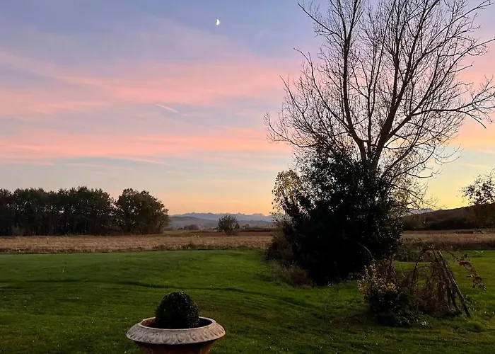 Nid D'oiseaux * Lustar