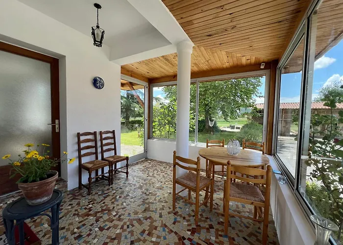 Nid D'oiseaux Lustar